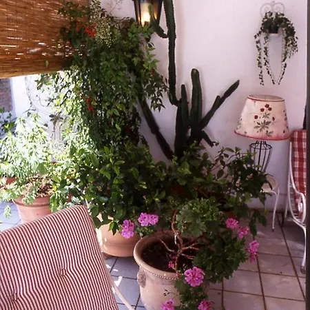 Apartment Sleeps 2 Pool Wifi T763652 Marconia